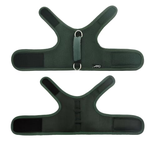 Cat Harness and Leash Set for Walking Escape Proof (Green / Xxl 19-26 lbs)