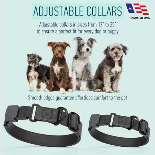 Biothane Waterproof Dog Collar with Herm Sprenger Stainless Steel Quick Release Buckle (W 3/4" x L 12"-19" / Black)