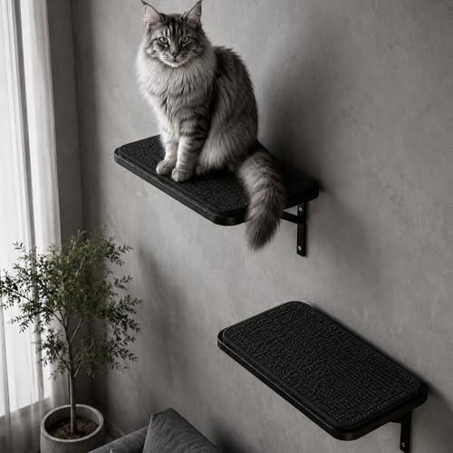Cat Wall Shelves Set of 2 (2PCS Shelf with Black Sisal)