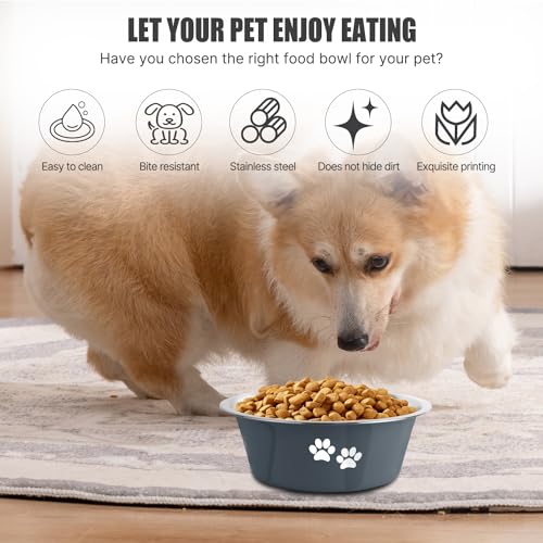 Stainless Steel Dog Bowls (Grey / 6.6 Cups/53 OZ)