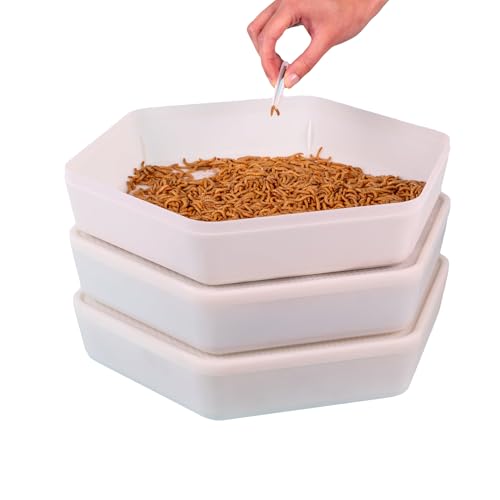 Mealworm Breeding Growing Kit