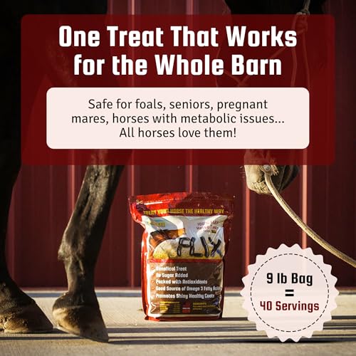 Flix 9 lb 100% Flaxseed Healthy Treats for Horses (9 Pound (Pack of 1))