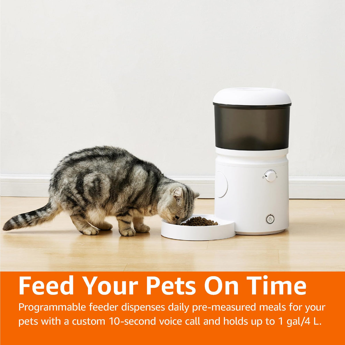 Automatic Cat Feeder with Programmable Voice Recorder