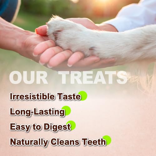All Natural Turkey Tendon for Dogs (4 Count (Pack of 1))
