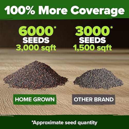 American Legion Red Poppy Seeds