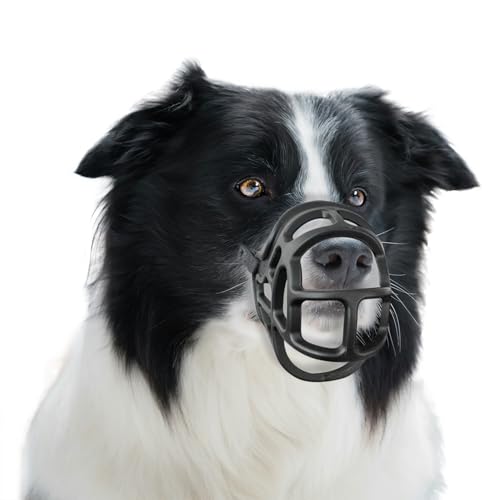 Dog Muzzle Basket Muzzle for Small Medium Large Dogs (Black / Size 1)