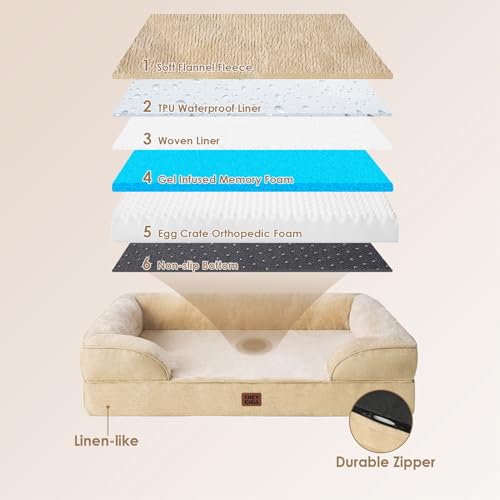 Orthopedic Dog Beds Large Sized Dog (Graige / 36.0"l X 27.0"w X 6.5"th)