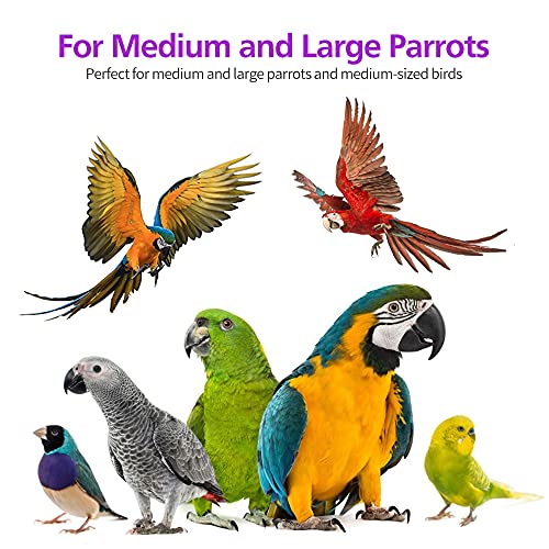 2 Pack 20in Large Parrot Toy (2 Pack)
