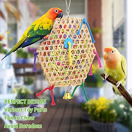 Bird Parrot Toys (A-2 pack)