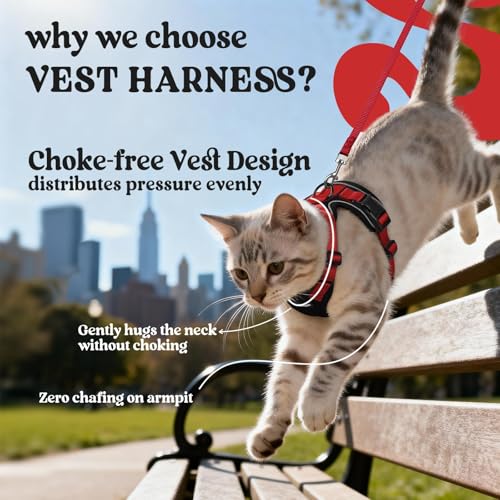 Cat Harness and Leash Set (Xxs / Black & Red)
