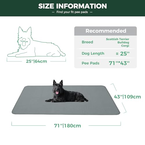 Washable Pee Pads for Dogs (Gray / 43" x 71" (1 Pack))