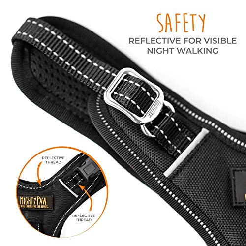 Sport Harness 2.0 (Large / Black)