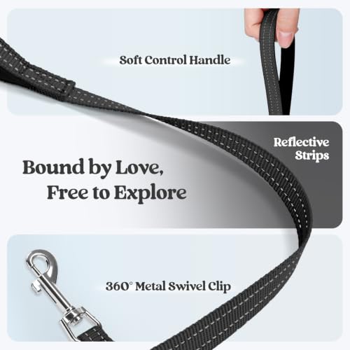 Dog Harness Small Sized and Leash Set (Midnight Daisy / S (chest: 15.1 - 16.5"))