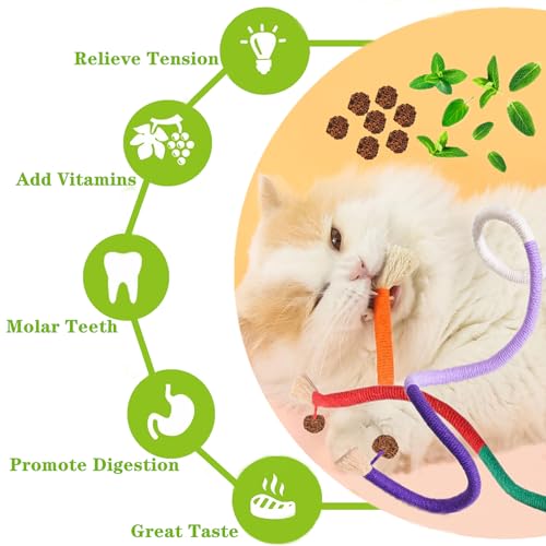 Cat Toys 21PCS Mix Catnip Chew Rope Silvervine Stick for Indoor Cat (MIX-21PACK)