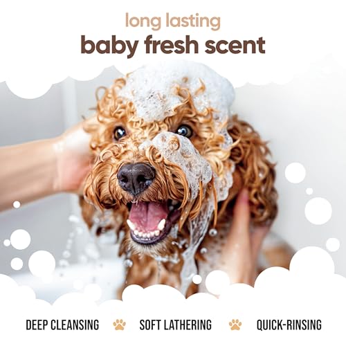 Vanilla & Shea Butter Dog Shampoo by Buddycare (50.72oz)