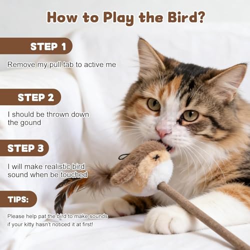Interactive Cat Toy for Indoor Cats (Green & Brown-Square)