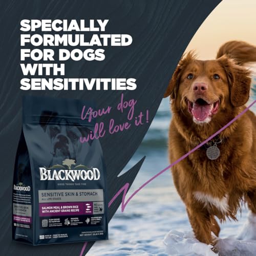 Sensitive Premium Dry Dog Food (Salmon Meal & Brown Rice with Ancient Grains / 10 Pound (Pack of 1))