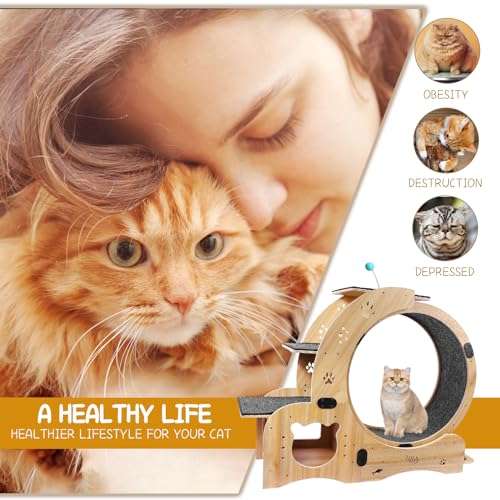 55" cat Wheel
