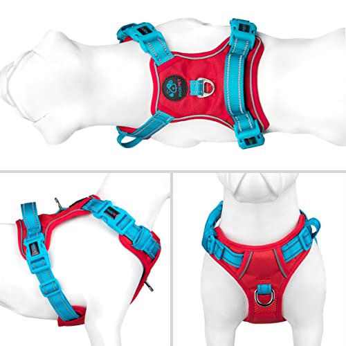 No Pull Dog Harness (Red Base & Teal Straps / Small)