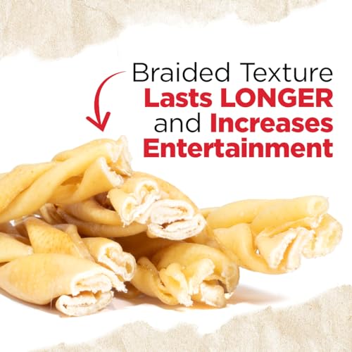Braided Pork Collagen Dog Chews (10 Count (Pack of 1))