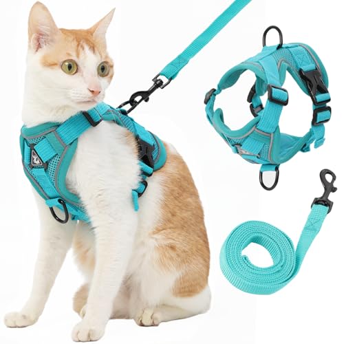 Cat Harness and Leash (Large / Turquoise)