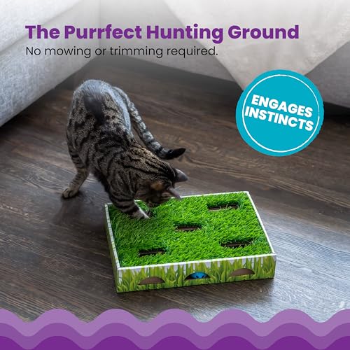 Grass Patch Hunting Box Cat Toy