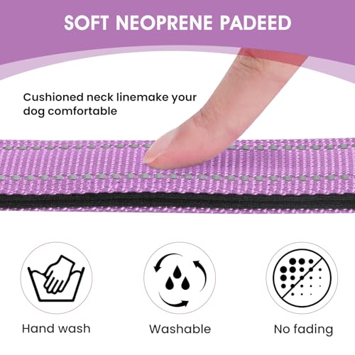 Reflective Dog Collar (Lavender / L:width 1"neck 17.5-27")