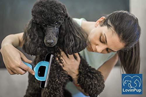 Cat & Dog Brush for Shedding (Grooming Brush)