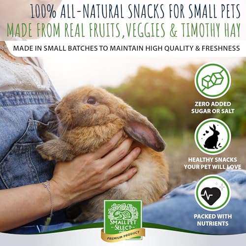 Healthy Snackers (2 Ounce (Pack of 1))