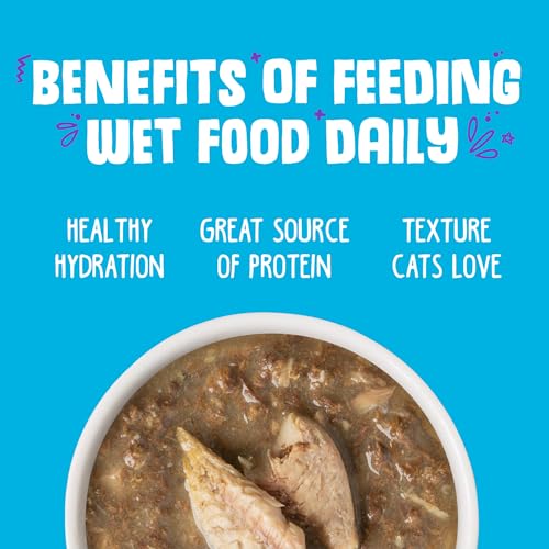 Classic Cat Food (3 Ounce (Pack of 24))