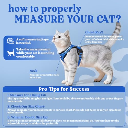 Cat Harness and Leash Set (Xs / Navy Blue)