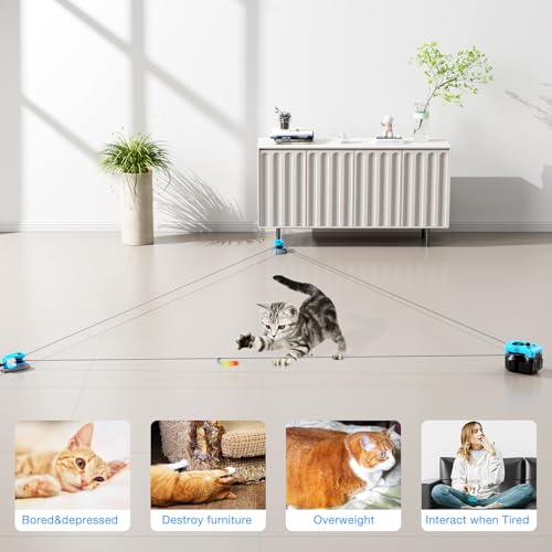 Interactive Cat Toy for Indoor Cats with Remote (Sky Blue)