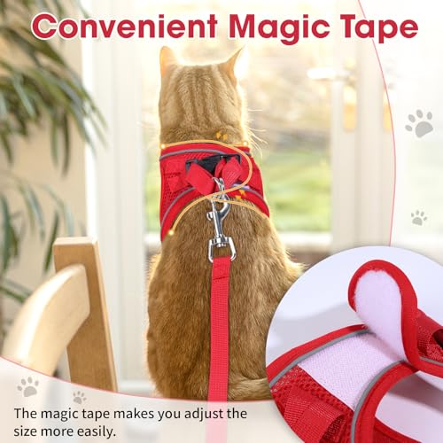 Cat Vest Harness and Leash Set (Red / XS)