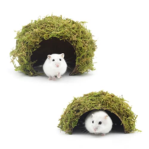 Hamster Hideaway (Cave, Set)