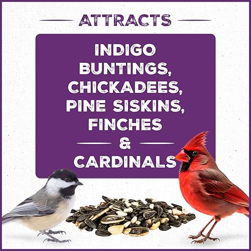 Songbird Nut & Fruit Blend Wild Bird Seed for Outside Feeders (10 lb)