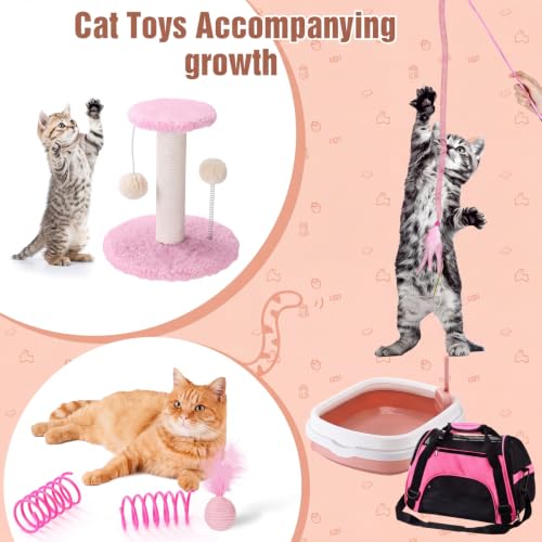 10 Pcs Kitten Starter Kit for Indoor (Classic / Medium / Pink)