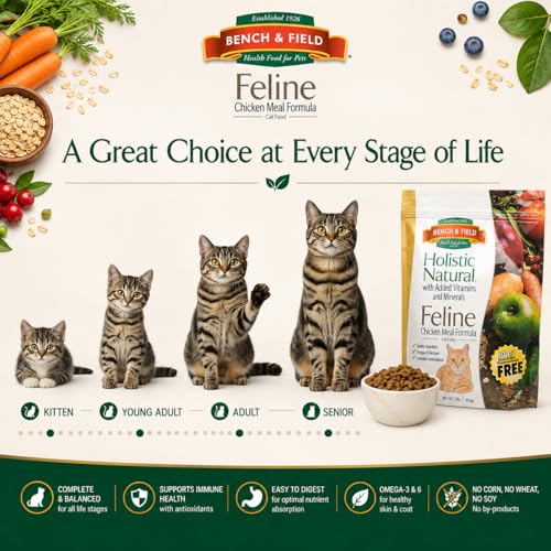Holistic Premium Dry Cat Food (3 Pound (Pack of 1))