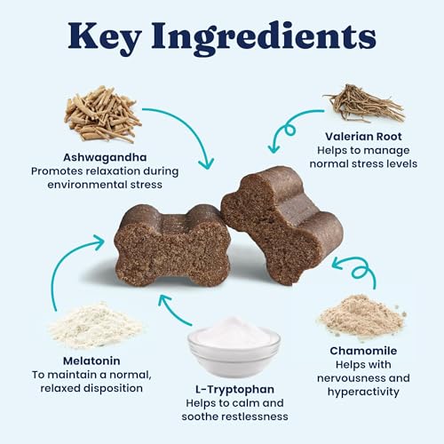 Calming Chews for Dogs with Melatonin for Storms & Travel (120 Count)