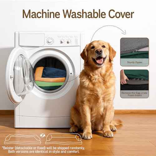 Orthopedic XL Dog Bed for Large and Extra Large Dogs (Citrus Grove / 42"L x 30"W x 7.5"Th)