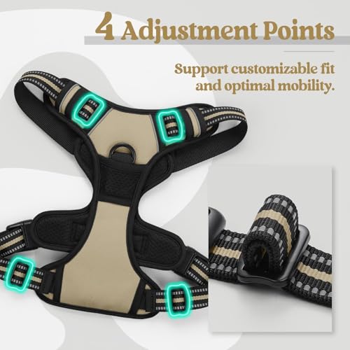 Dog Harness No Pull for Small Dogs with 2 Leash Clips (Small / Beige)
