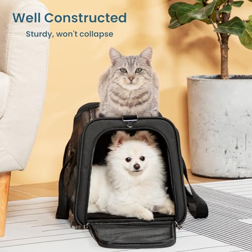 19 x 12 x 12 Large Cat Carrier (19.0"L x 12.0"W x 12.0"H / Z-Black)