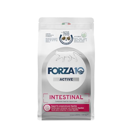 Intestinal Dry Cat Food for Sensitive Stomachs (3.3 Pound (Pack of 1))
