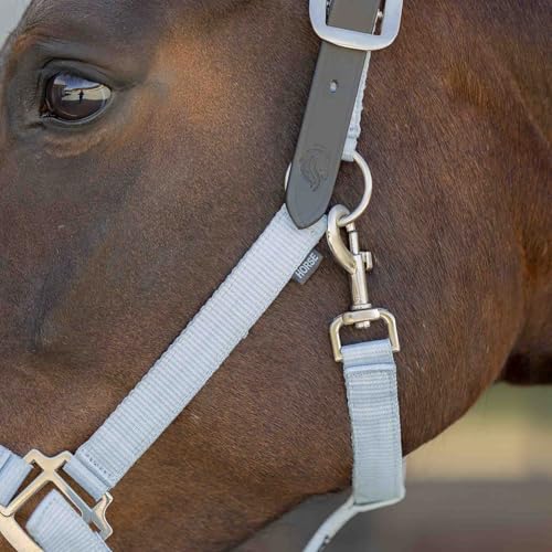 Loki Adjustable Breakaway Horse Halter (Sweet Blue / Cob)