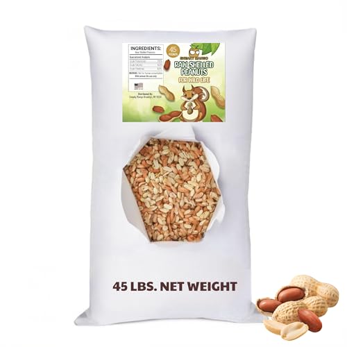 Raw Out of Shell Peanuts (45 Pound (Pack of 1))