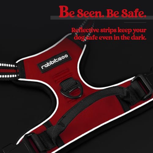 Dog Harness No Pull for Large Dogs with 2 Leash Clips (X-Large / Red)