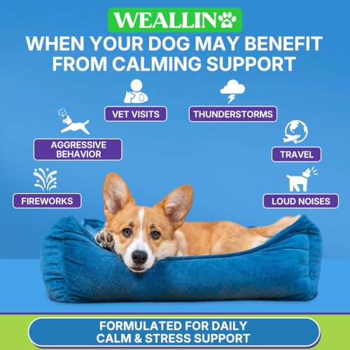 Calming Chews for Dogs