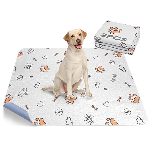 Washable Pee Pads for Dogs (Gray / 48X48 (2 Packs))