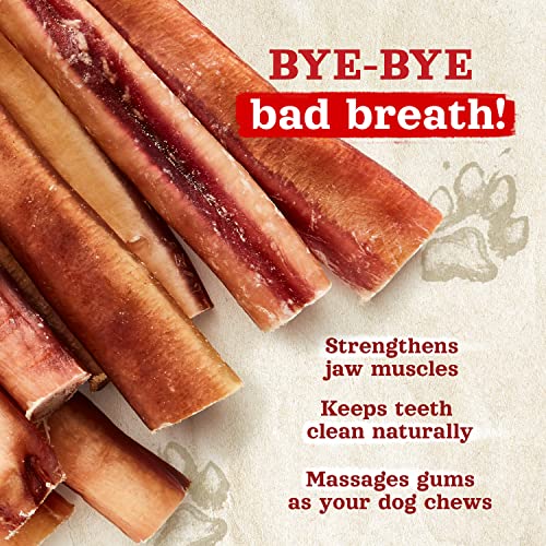 Odor Free Jumbo Bully Sticks (6 Inch, 2-Pack)