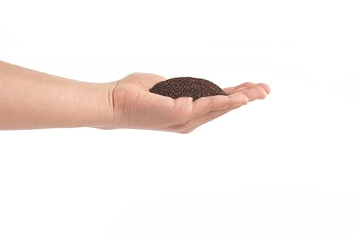 Congo Aquarium Natural Fish Tank Sand (L,2Lx2pk)