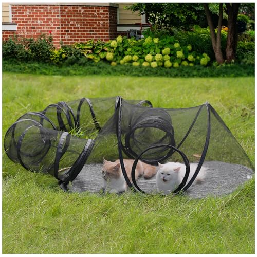 Outdoor Cat Enclosures